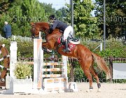 Testi Carry me on GioCav2013 S6 7373 : Campionati Italiani Giovani Cavalli, Carry me on, Cattolica, Testi Martina, ph Stefano Secchi ©